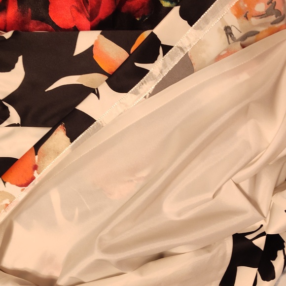 BEAUTIFUL DRESS - Picture 5 of 7